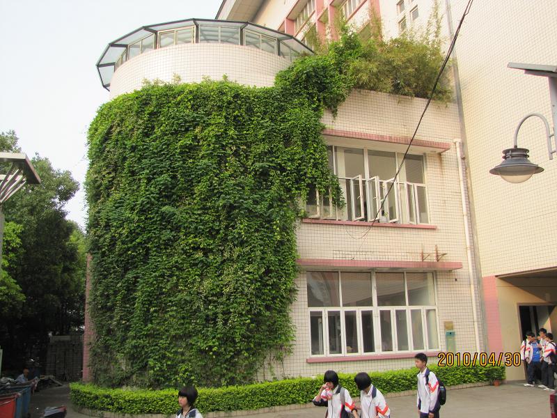 拉丝式墙面绿化 拉丝式墙面绿化