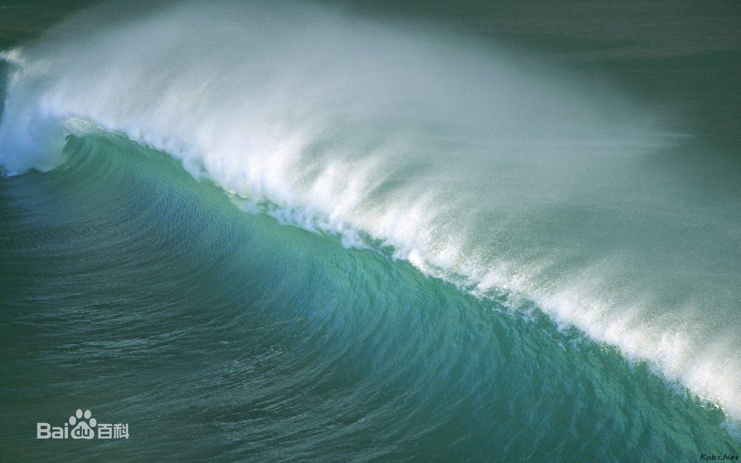 海洋 海洋