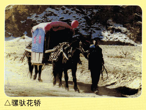 清水河县 清水河县