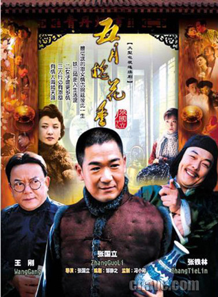 王刚(中国内地影视男演员、主持人)
