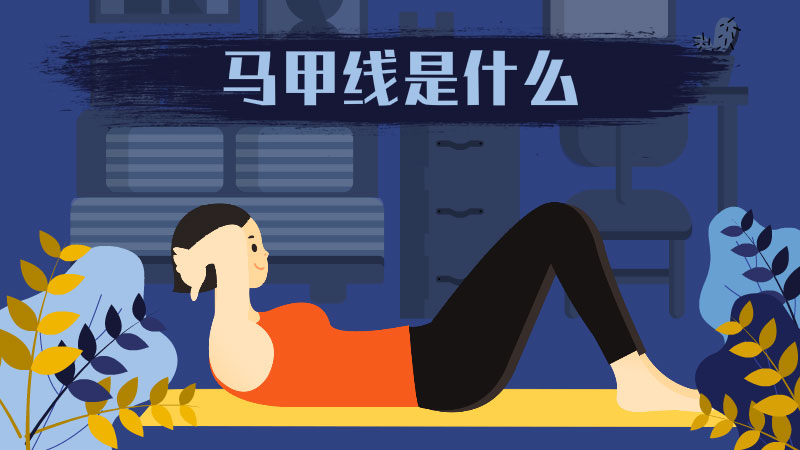 马甲线是什么