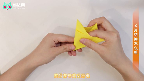6片花瓣怎么剪