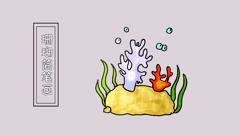 珊瑚简笔画