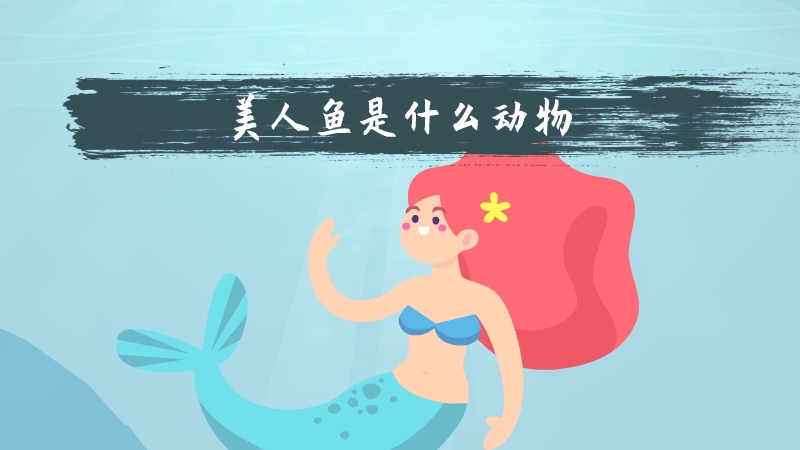 美人鱼是什么动物