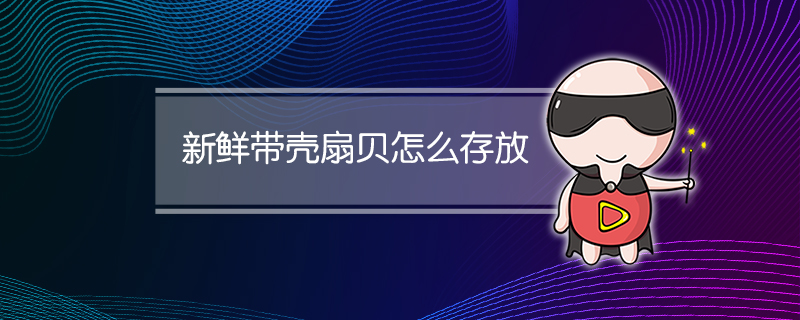 新鲜带壳扇贝怎么存放
