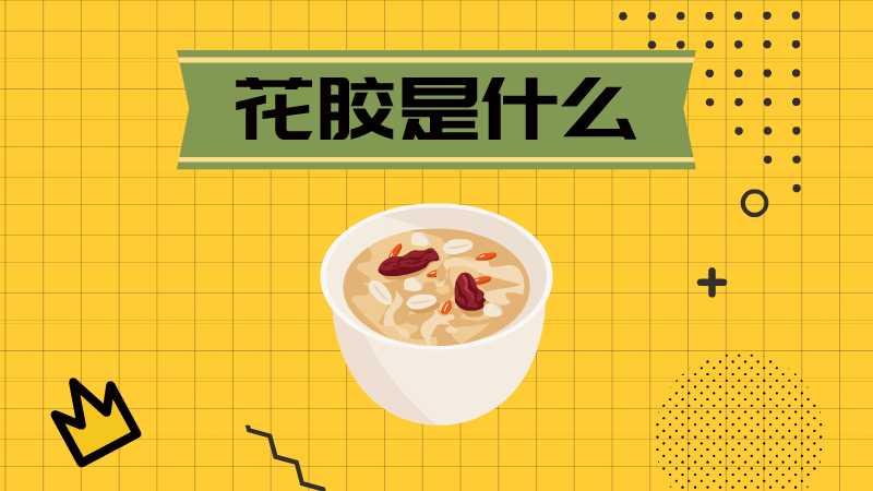 花胶是什么