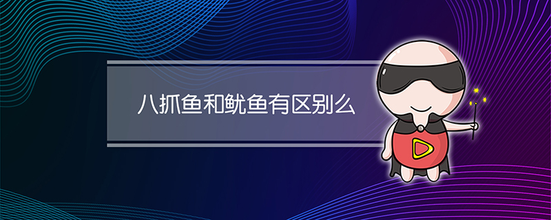 八抓鱼和鱿鱼有区别么
