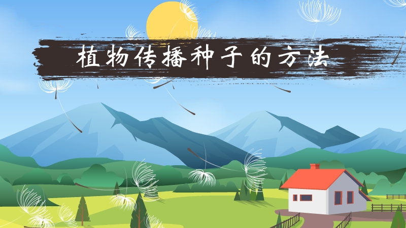 植物传播种子的方法