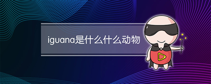 iguana是什么什么动物