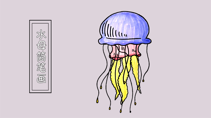 水母简笔画