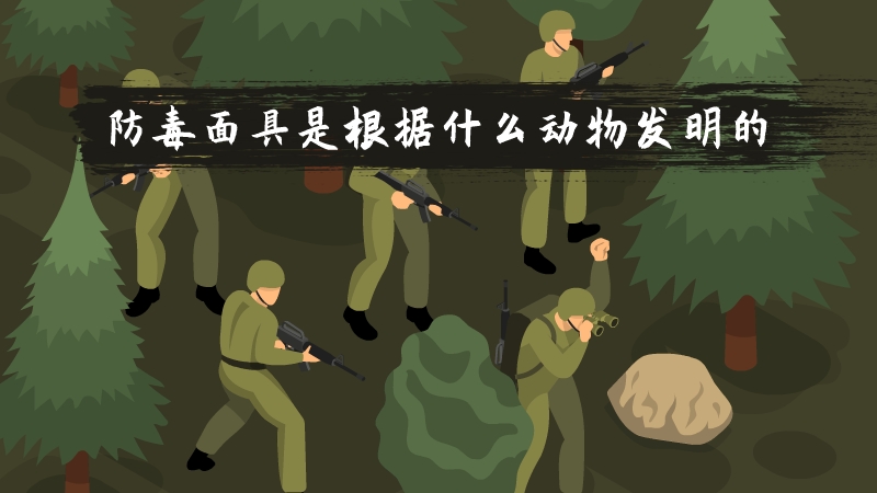 防毒面具是根据什么动物发明的