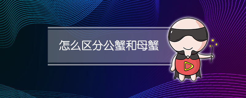 怎么区分公蟹和母蟹